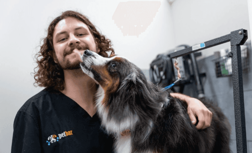 petbar agency case study — groomer with dog